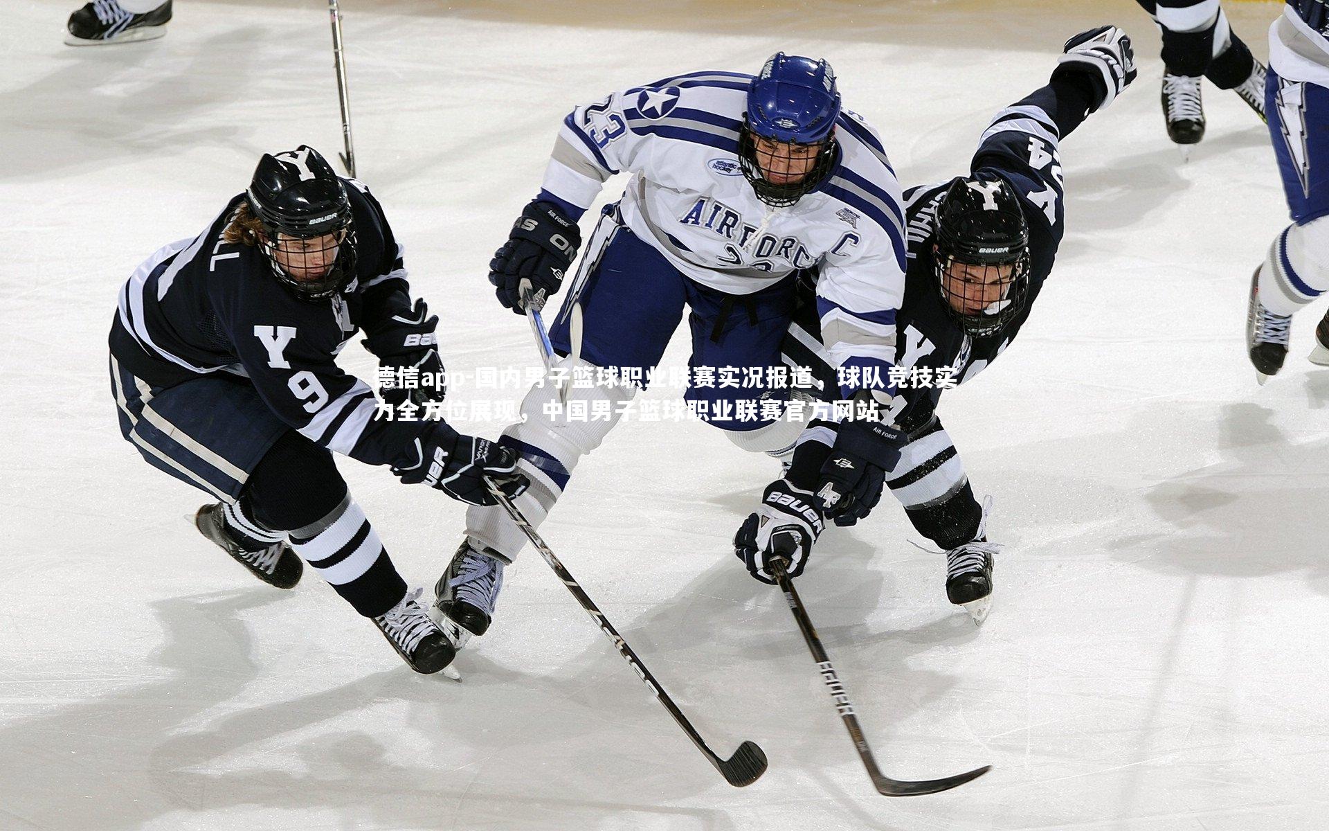 国内男子篮球职业联赛实况报道，球队竞技实力全方位展现，中国男子篮球职业联赛官方网站
